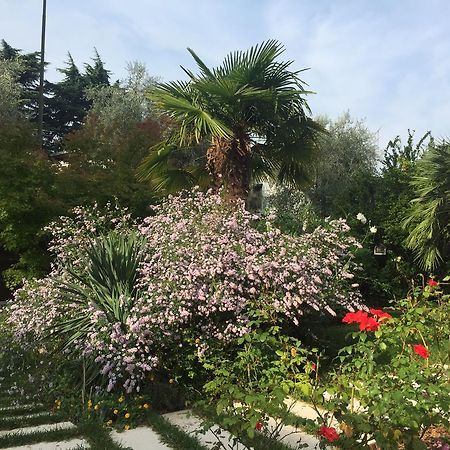 Villa Arzilla 데센자노델가르다 외부 사진